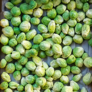 Coles de bruselas natural de Agricultura agroecológica en Salamanca. Verduras y hortalizas fuera de temporada