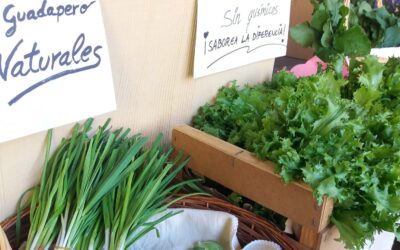 Mercado de verduras de Ciudad Rodrigo