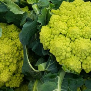 Romanesco